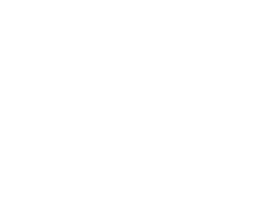 Linta VPN